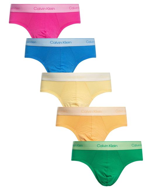 Calvin Klein Blue 5 Icon Hip Briefs for men