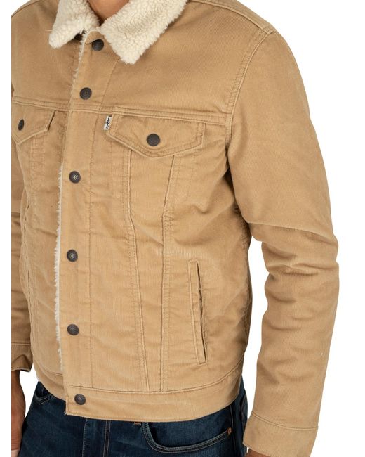 levi's type 3 sherpa trucker jacket chino cord