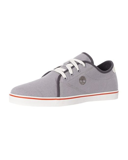 Timberland Multicolor Skape Park Oxford Canvas Trainers for men