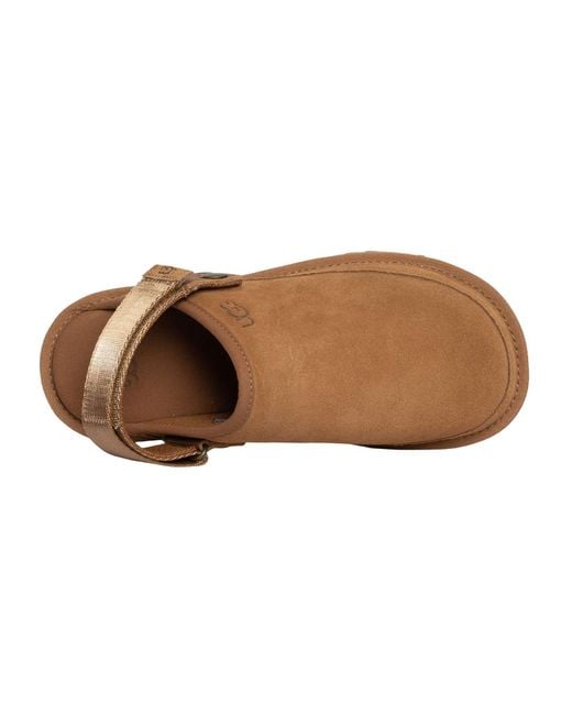 Ugg Brown Goldencoast Clog for men