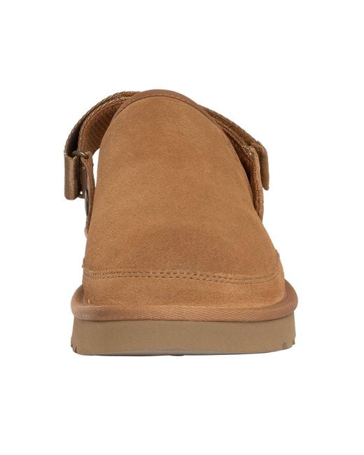 Ugg Brown Goldencoast Clog for men