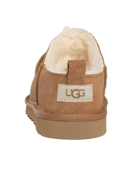Ugg Brown Classic Micro Slipper for men