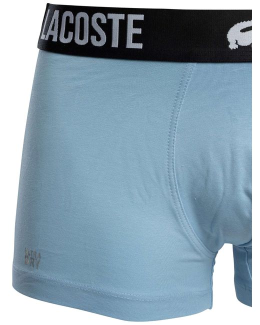 Lacoste Blue 3 Pack Cotton Stretch Trunks for men