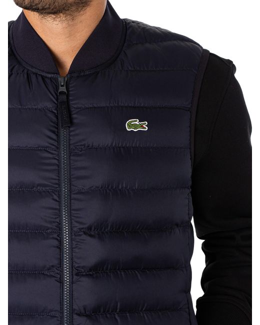 Lacoste hot sale gilet blue