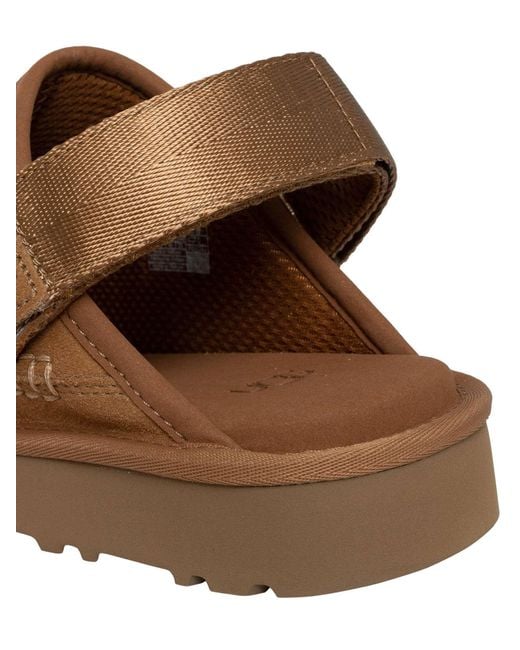 Ugg Brown Goldencoast Clog for men