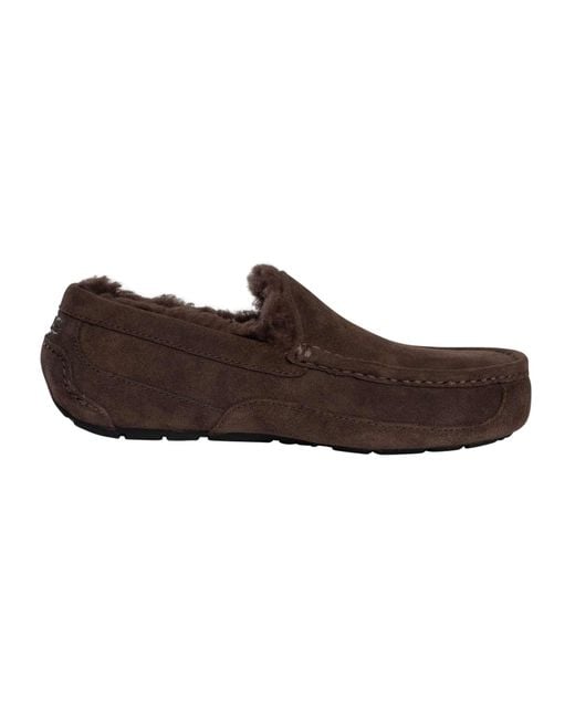 Ugg Brown Ascot Suede Slippers for men