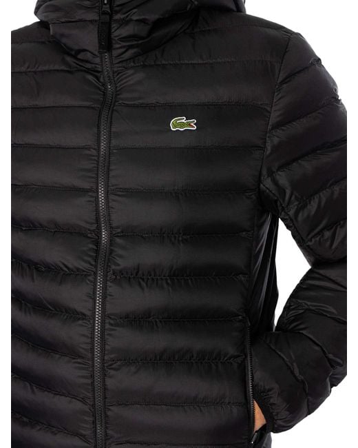 Lacoste Black Quilted Puffed Jacket for men