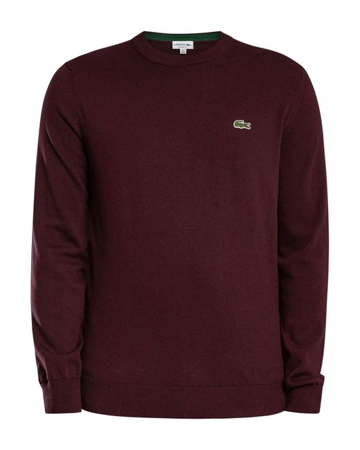 Lacoste Red Logo Knitted Jumper for men