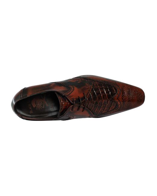Jeffery West Brown Leather Derby Shoes for men