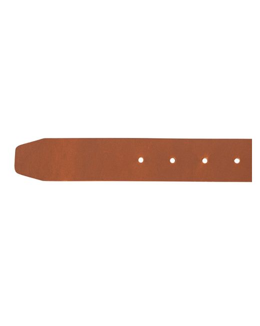 Tommy Hilfiger Brown Adan Leather Belt for men