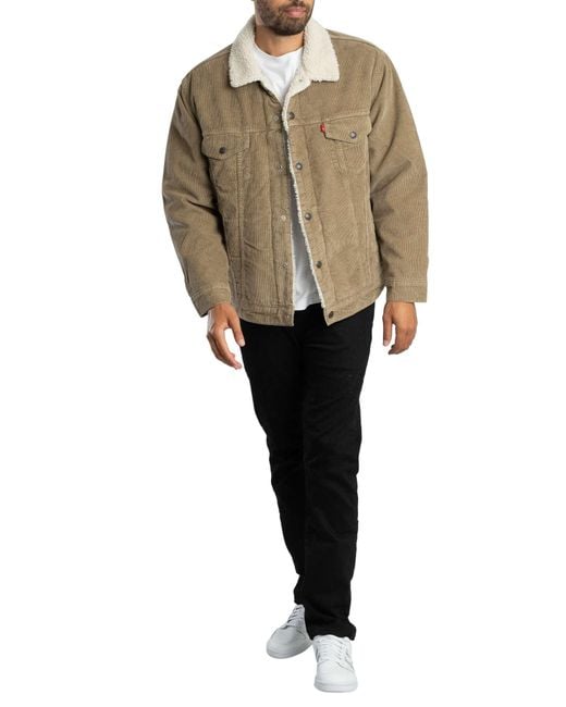 Levi's Natural Relaxed Fit Sherpa Trucker Jacket for men