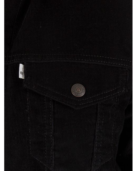 Sherpa Trucker Jacket for Men 