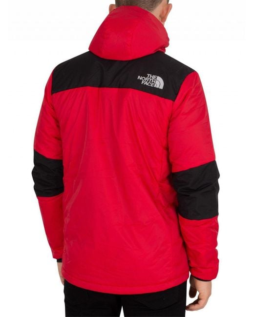 Himalayan light synthetic hotsell