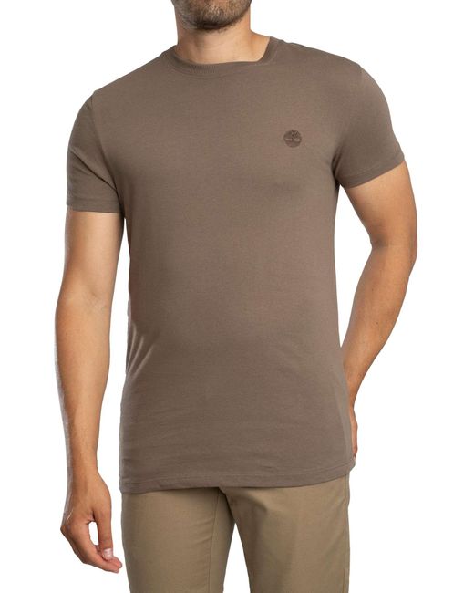 Timberland Gray Dunstan River Slim T-shirt for men