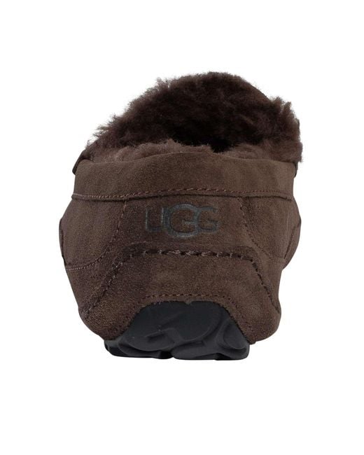Ugg Brown Ascot Suede Slippers for men