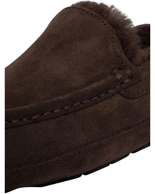 Ugg Brown Ascot Suede Slippers for men