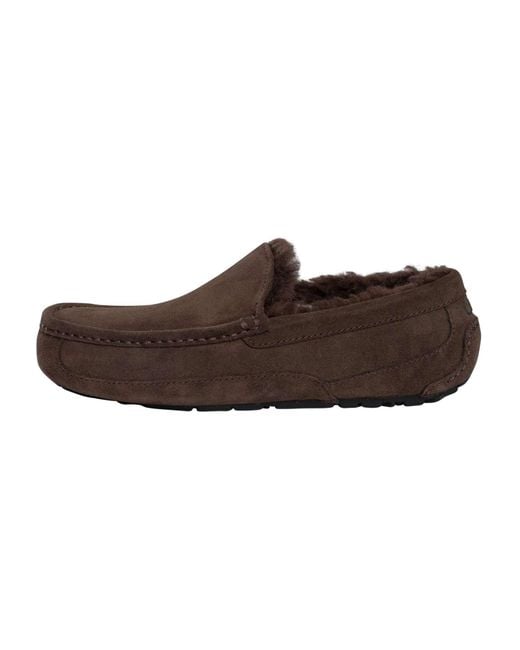 Ugg Brown Ascot Suede Slippers for men
