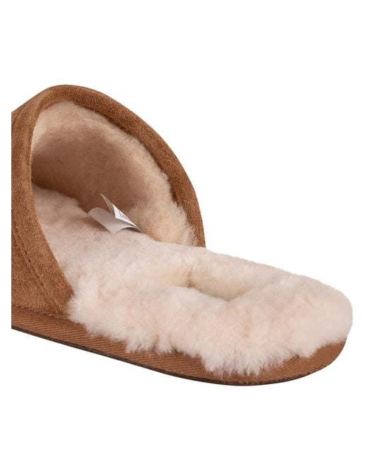 Ugg Brown Scuff Suede Slippers for men