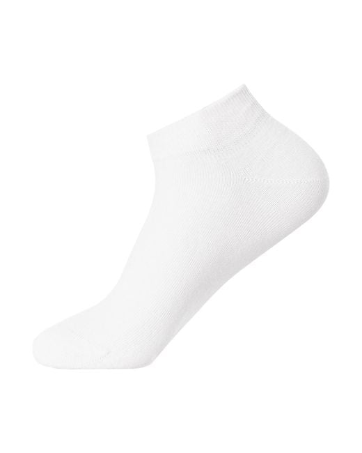 Lacoste Blue 3 Pack Low Socks for men