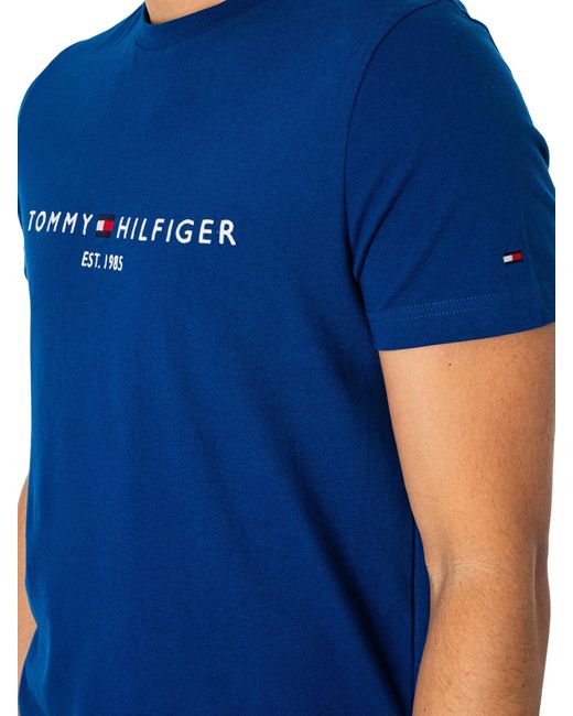 Tommy Hilfiger Blue Graphic T-shirt for men