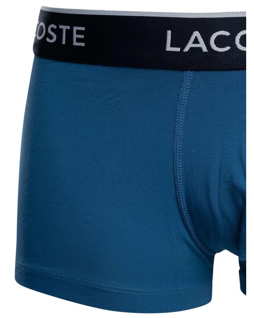 Lacoste Blue 3 Pack Cotton Stretch Trunks for men