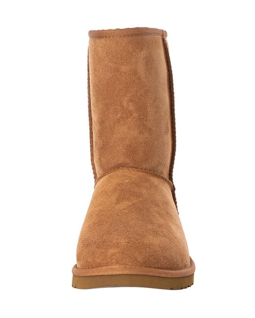 Ugg Brown Classic Short Boots for men