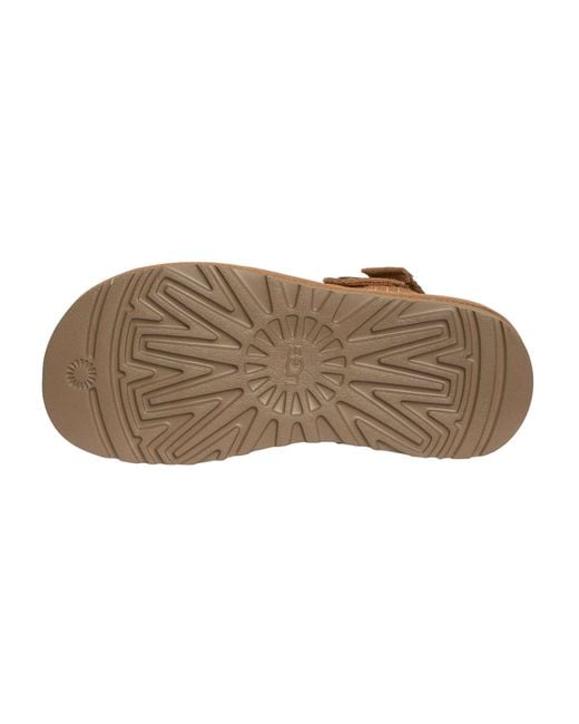 Ugg Brown Goldencoast Clog for men