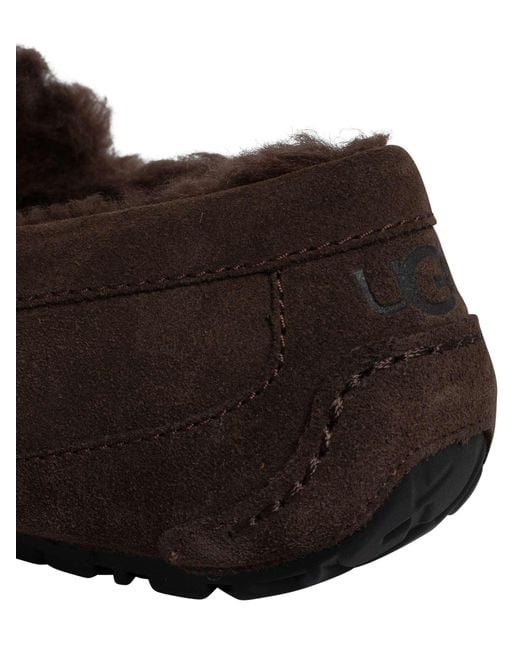 Ugg Brown Ascot Suede Slippers for men