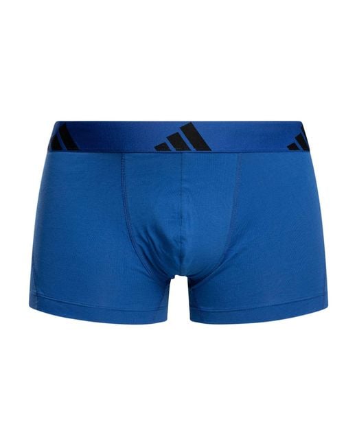 Adidas Blue 3 Pack Active Flex Cotton Trunks for men