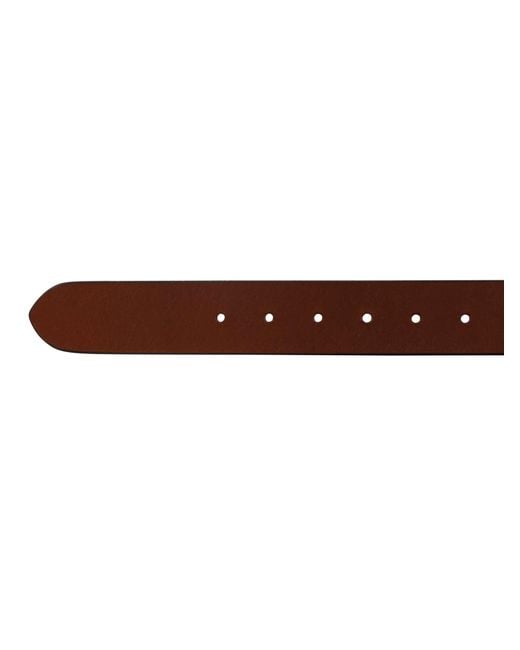 Barbour Brown Allanton Leather Belt for men