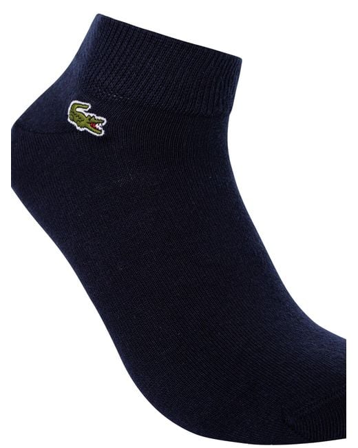 Lacoste Blue 3 Pack Low Socks for men