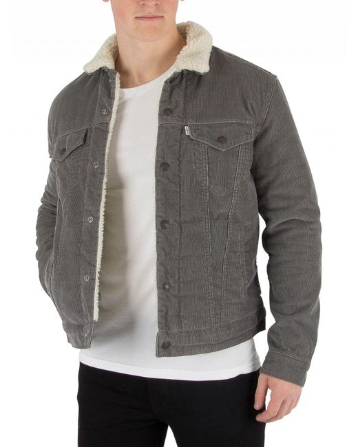 Levi's Gray Pewter Cord Type 3 Sherpa Trucker Jacket for men