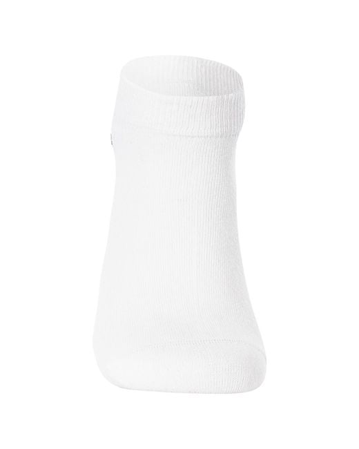 Lacoste Blue 3 Pack Low Socks for men