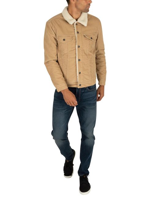 levi's type 3 sherpa trucker jacket chino cord
