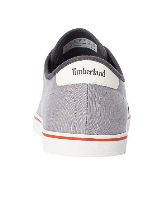 Timberland Multicolor Skape Park Oxford Canvas Trainers for men