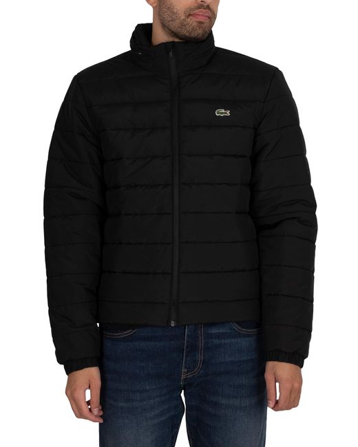 Lacoste Logo Puffer Jacket in Black for Men | Lyst