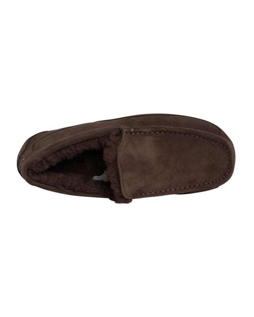 Ugg Brown Ascot Suede Slippers for men