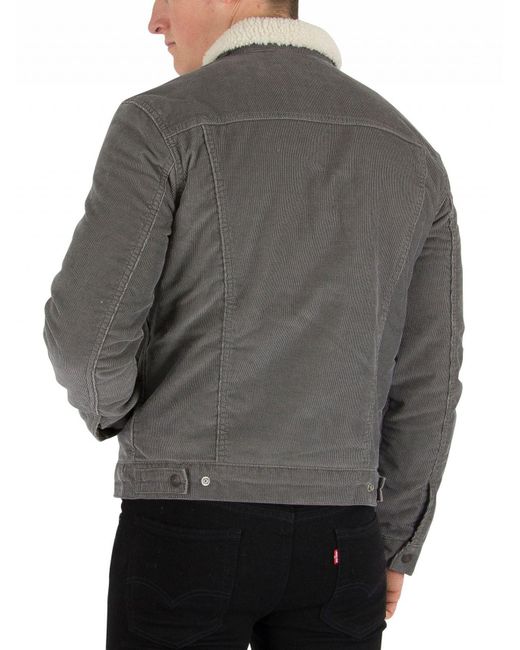 Levis sherpa pewter sale
