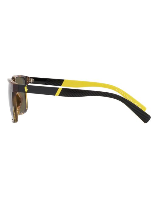 Polo Ralph Lauren Brown Ph4189u Rectangle Sunglasses for men