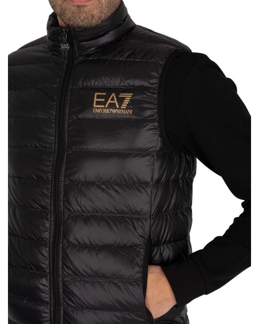 EA7 Down Gilet in Black/Gold (Black) for Men | Lyst