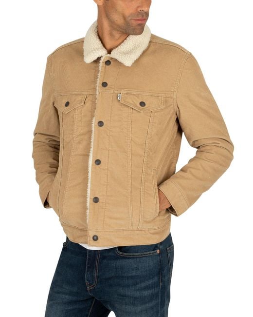 Levi's type 3 borg trucker jacket chino cord new arrivals