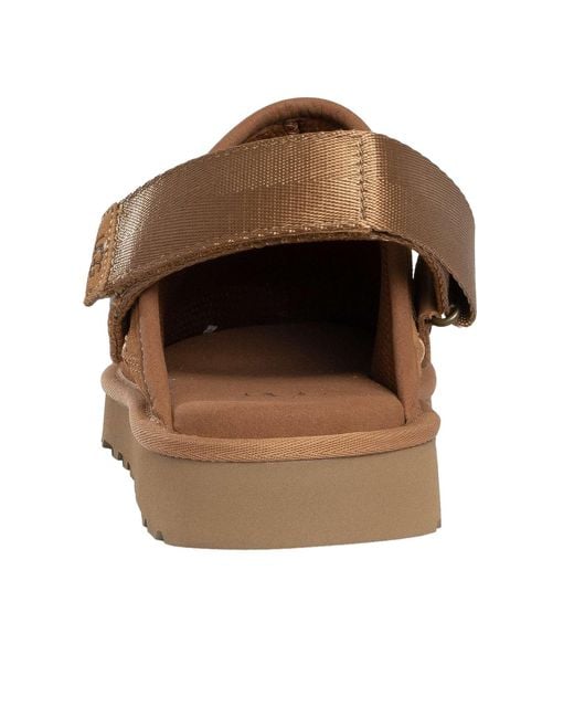 Ugg Brown Goldencoast Clog for men