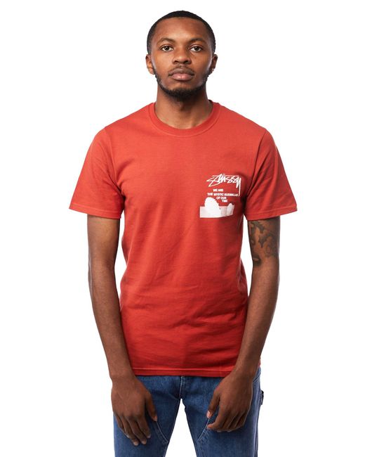 stussy desert tee