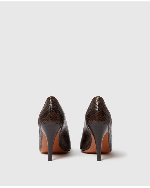 Stella McCartney Brown Square-Toe Snake Stiletto Pumps