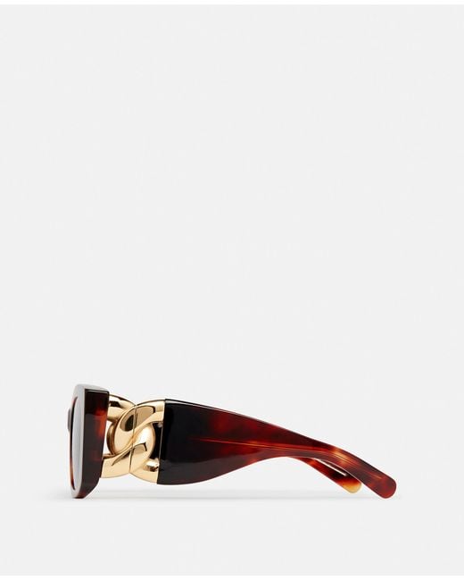 Stella McCartney Brown Falabella Square Sunglasses