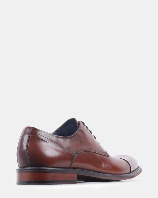 Steve Madden Brown Vander for men
