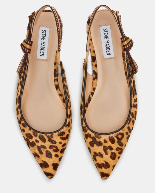 Steve Madden Brown Olsen-a