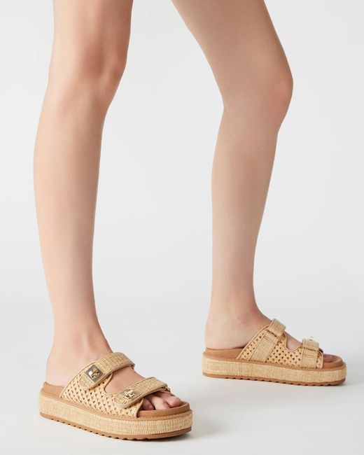 Steve Madden Brown Bigschmona
