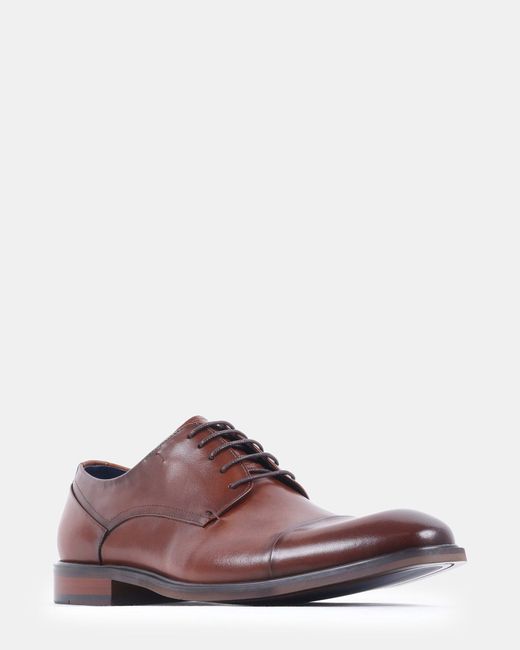 Steve Madden Brown Vander for men