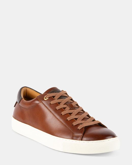 Steve Madden Brown Fogarty for men
